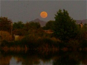 "Super-Moon" at Veterans Oasis Lake
